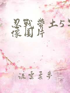 忍战带土5星头像图片