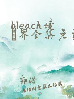 bleach境·界全集免费