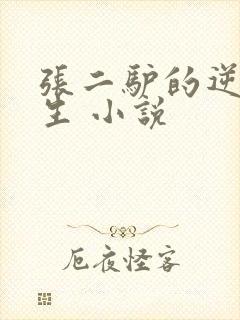 张二驴的逆袭人生 小说