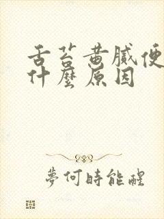 舌苔黄腻便秘是什么原因