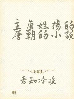 主角姓杨的穿越唐朝的小说