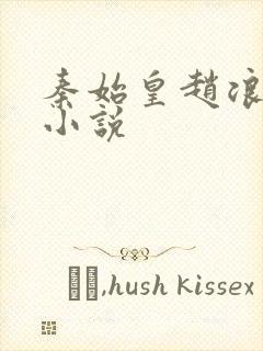 秦始皇赵浪穿越小说