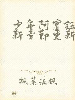 少年阿宾钰慧最新章节更新