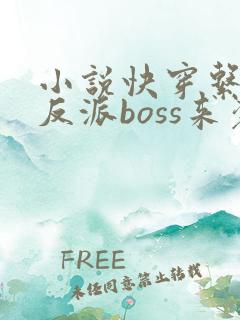 小说快穿系统之反派boss来袭免费阅读