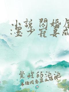 小说 闪婚厚爱:墨少宠妻成瘾