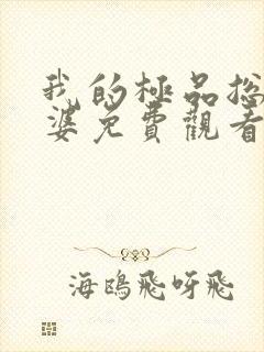 我的极品总裁老婆免费观看电视剧