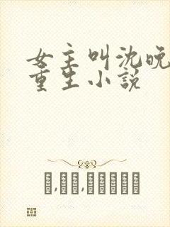 女主叫沈晚晚的重生小说