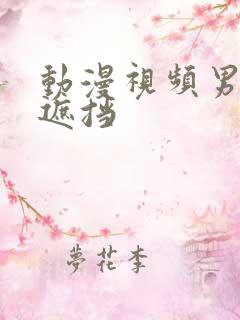 动漫视频男女无遮挡