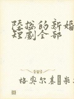 陆总的新婚哑妻短剧全部