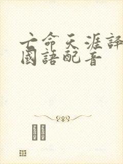 亡命天涯译制片国语配音