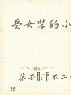受女装的小说