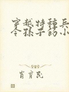 穿越特种兵成司令孙子的小说