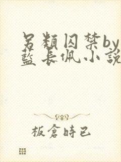 另类囚禁by又蓝长佩小说全文免费阅读