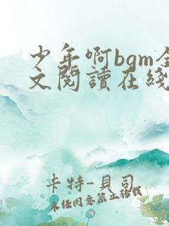 少年啊bgm全文阅读在线