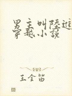 男主叫陆进扬的穿越小说