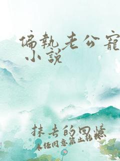 偏执老公宠上瘾 小说