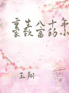 重生八十年代发家致富的小说