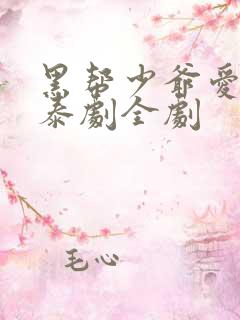 黑帮少爷爱上我泰剧全剧