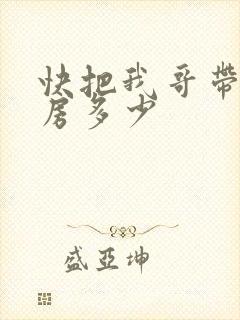 快把我哥带走票房多少