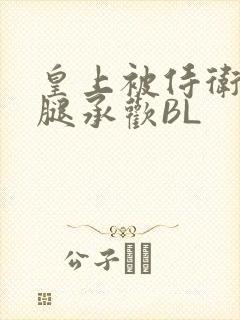 皇上被侍卫抵开腿承欢BL