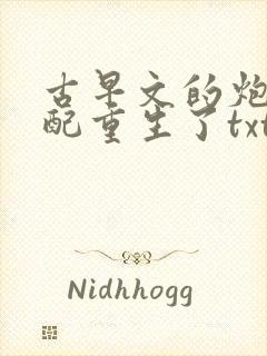 古早文的炮灰女配重生了txt