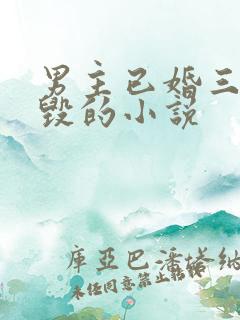 男主已婚三观尽毁的小说