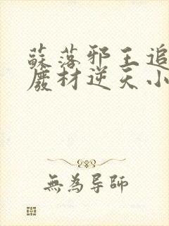 苏落邪王追妻:废材逆天小姐全文免费阅读