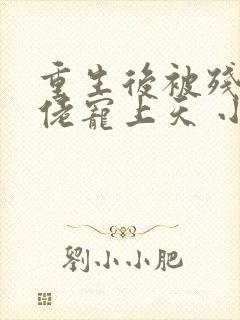 重生后被残疾大佬宠上天 小说下载