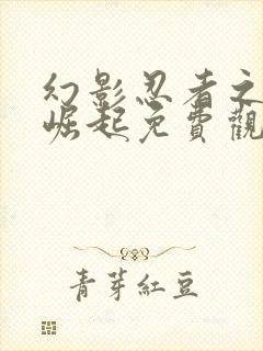 幻影忍者之神龙崛起免费观看中文版