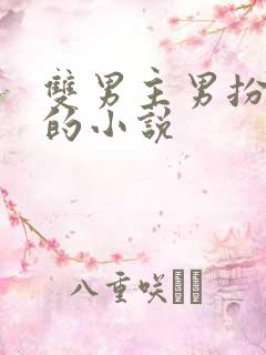 双男主男扮女装的小说