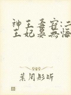 神王毒宠:二嫁王妃晏无悔