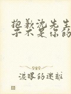 抱歉沈先生,孩子不是你的短剧完整选集