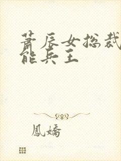 萧辰女总裁的全能兵王