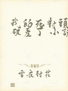 我的死对头终于破产了 小说