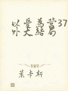 以爱为营37番外大结局