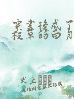 穿书后成了偏执校草的白月光番外