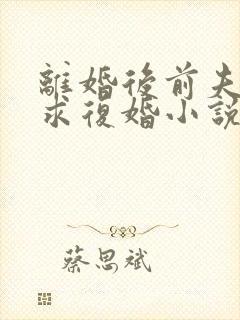 离婚后前夫哭着求复婚小说完本免费阅读