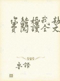 你结婚我劫婚免费阅读全文