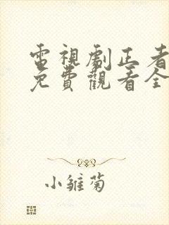 电视剧正者无敌免费观看全集