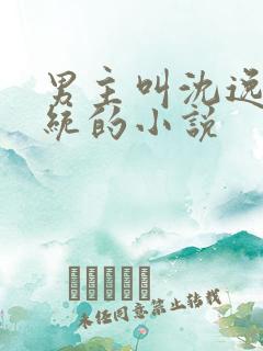 男主叫沈逸有系统的小说