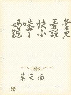 妈咪快看爹地又跪了小说免费阅读