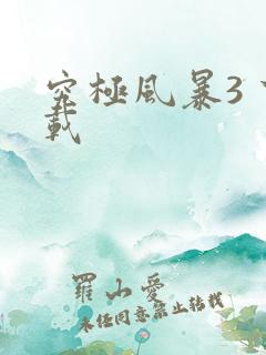 究极风暴3 下载