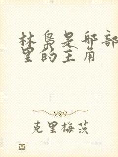 林枭是哪部小说里的主角