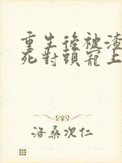 重生后被渣男的死对头宠上天短剧