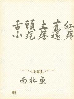 舌头上有红色的小疙瘩还疼