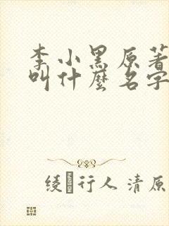 李小黑原著小说叫什么名字