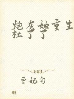 炮灰她重生了 杜了了