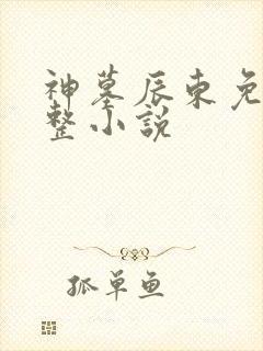 神墓辰东免费完整小说