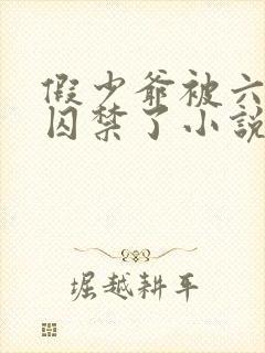 假少爷被六个哥囚禁了小说