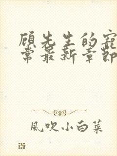 顾先生的宠妻日常最新章节免费阅读